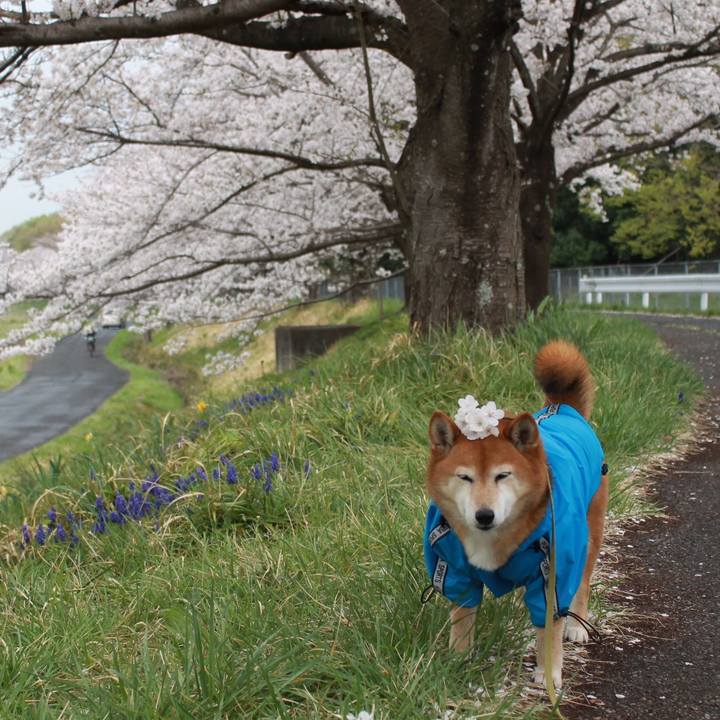 F7a1df82 f623 48c7 922c bca98eb79b4b 1616910133909