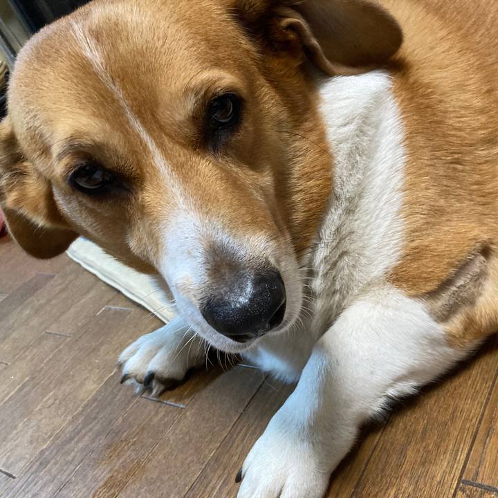 F7a20421 7366 4b6d b236 232de33d6d5b 1760437444414