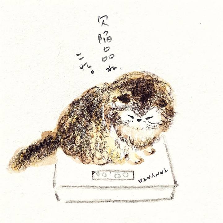 F7a2414f ded1 4649 b43b 744a023ad969 1641357468292