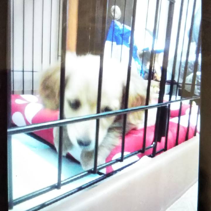 F7a2434b 4730 493f b41e 1c0769a3b370 1573464327128