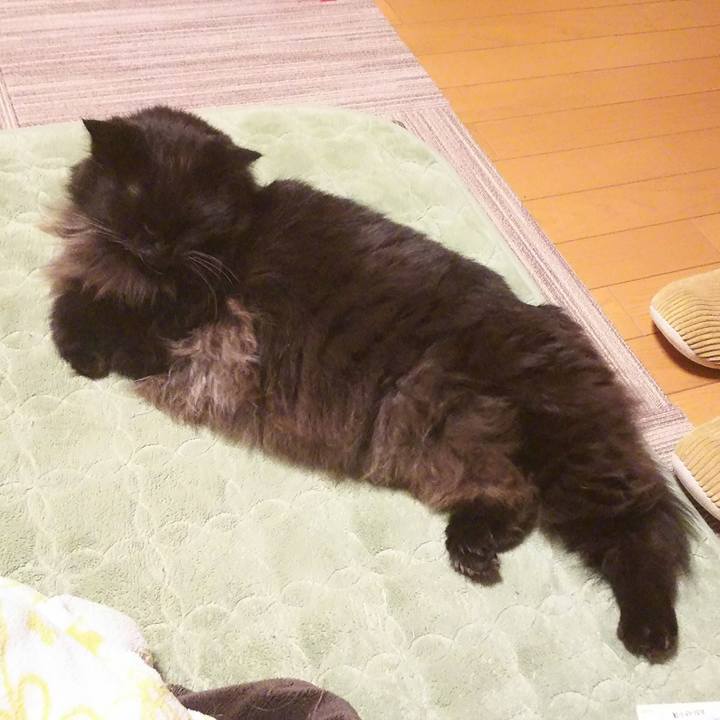 F7a286b3 a4d3 444f a4cb a1a8cbf51dc5 1512556131844