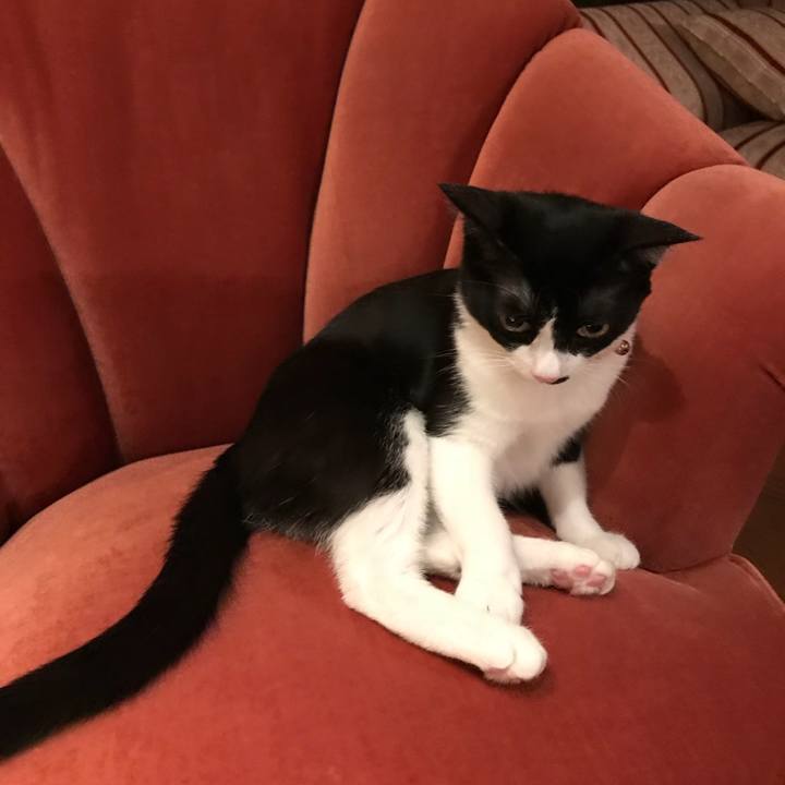 F7a28915 90f5 4d5c bc2d 117c246eb731 1520177714534