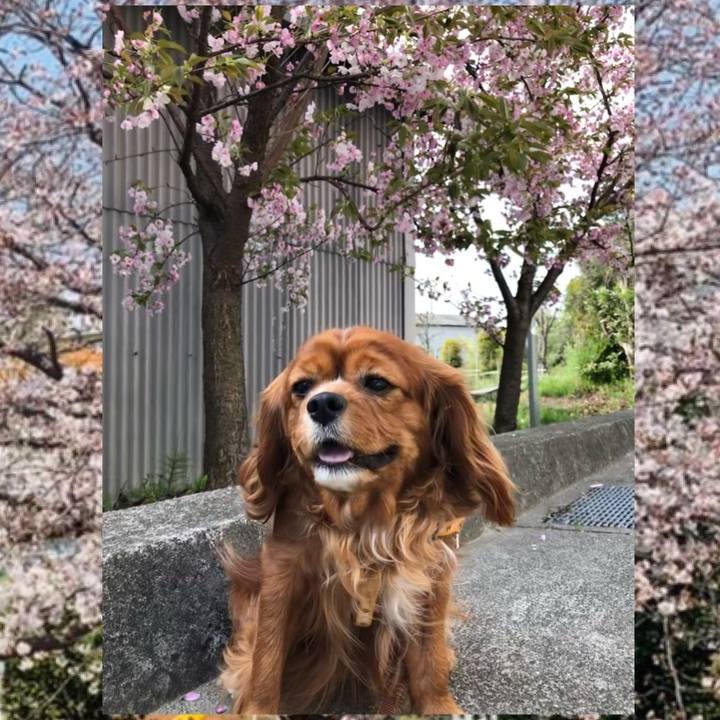 F7a2aa22 ca55 45fe a8fa fa5083fc7336 1617412102083