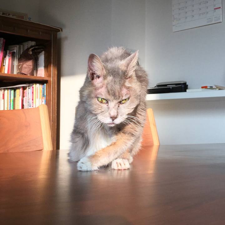 F7a3066b 51bc 4dba be02 d9ed4b836480 1546352217804