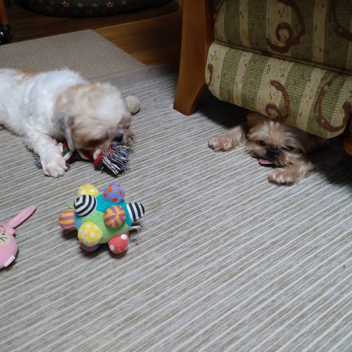 F7a31be5 e515 4b9f abf0 13dbaf4eb982 1599219315826