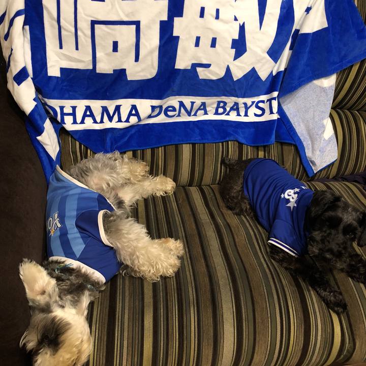 F7a3b561 cb35 4b96 915c 907e85460866 1533979488605