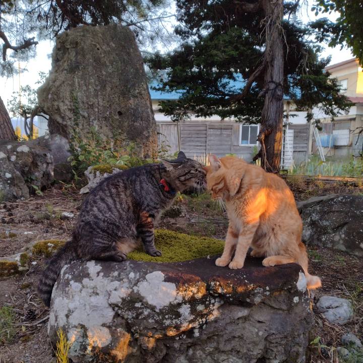 F7a3b958 89e5 4296 8bb7 d96813559a1e 1692781647590