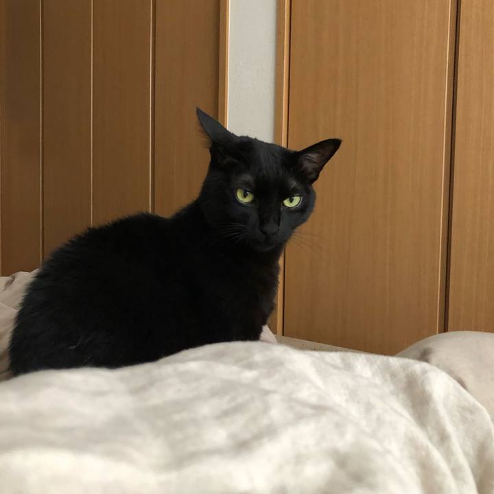 F7a3b9cd e3c7 4708 9ae7 91d6666b1051 1572737540149