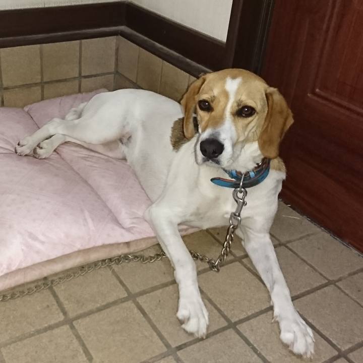 F7a3fd56 66bf 4766 85a4 f4c444b4f2da 1568251823413