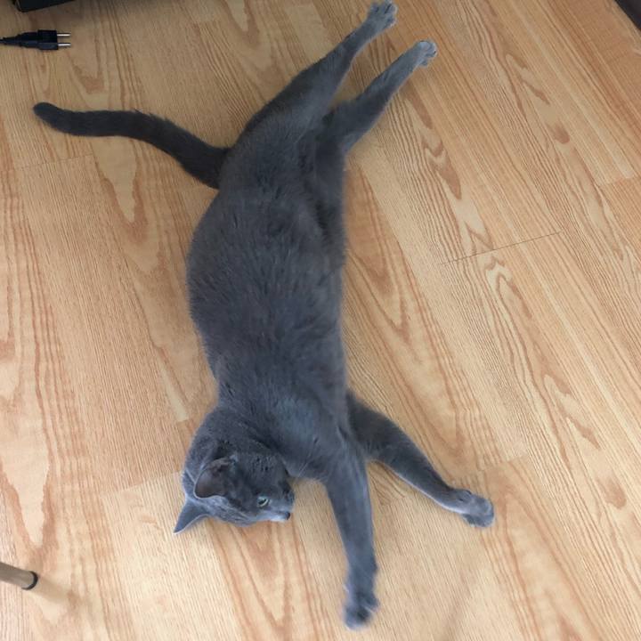 F7a42ee4 344d 4377 af03 350c0b8b5632 1570068348908