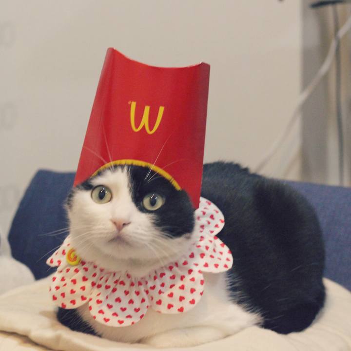 F7a44e41 b2e8 4127 991b 3451775af207 1582324998021