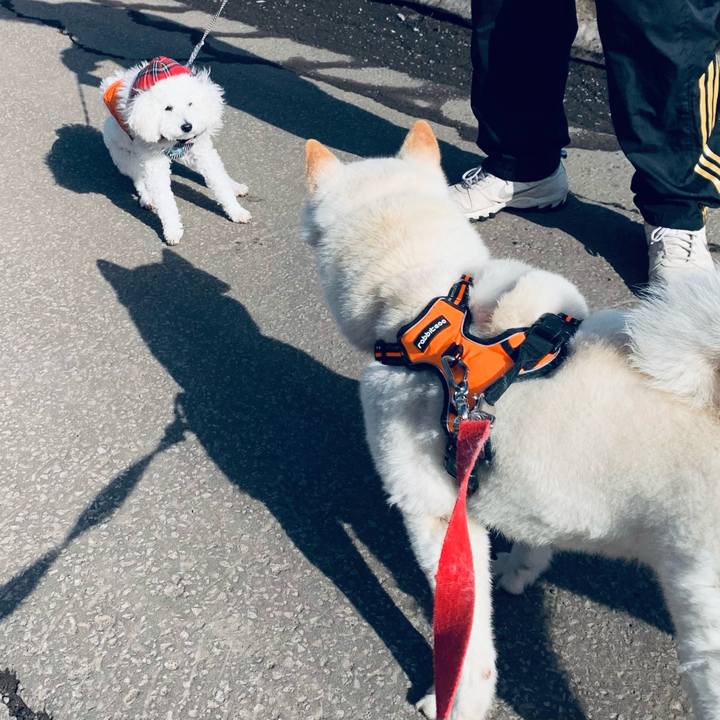 F7a49465 b015 447e 9052 5bf65d3e61e3 1616286529516