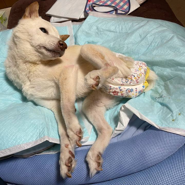 F7a4a9b4 5167 4e98 8155 1d3f7149eabb 1674397875913