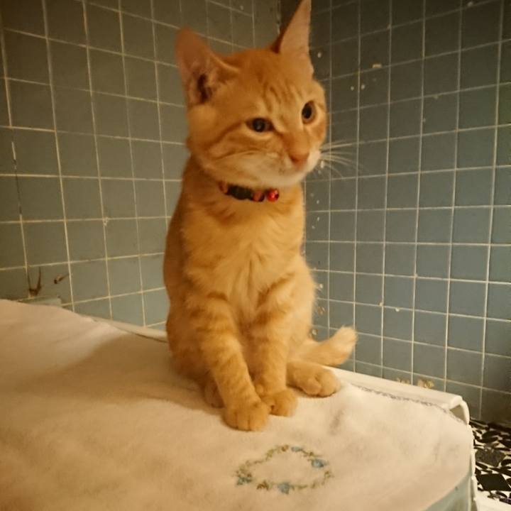 F7a4ab88 85ef 4da8 9e14 a9b7c69a8815 1633774546178