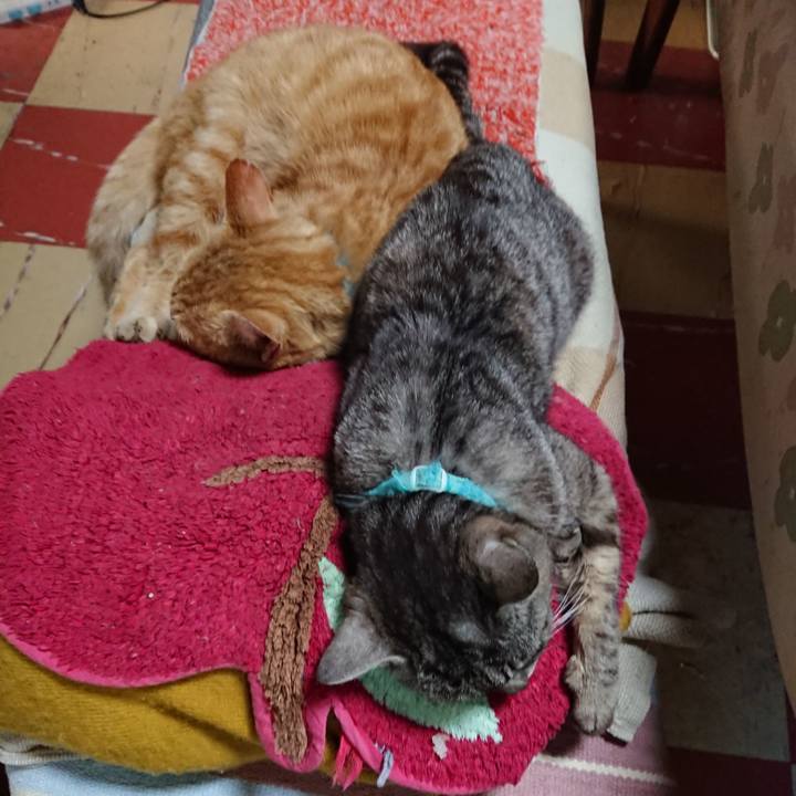 F7a4b7fc 24fa 484a 88ef 90d9d3b10c91 1557007357085