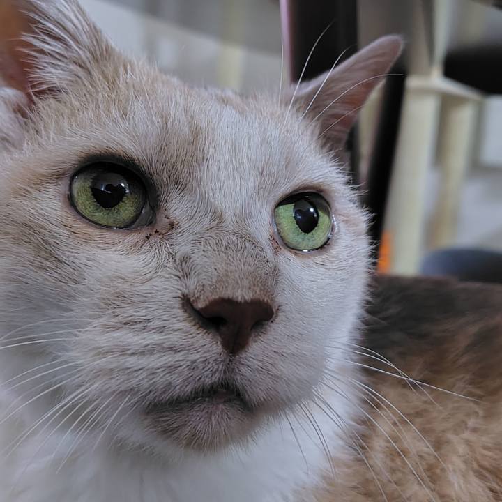 F7a4bb06 2f6c 4942 8b27 ed3b280b15af 1755085169125