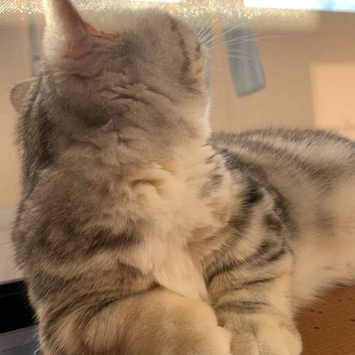 F7a4d5a4 d8e5 450a b7b8 2a11e5b9510b 1705226230871