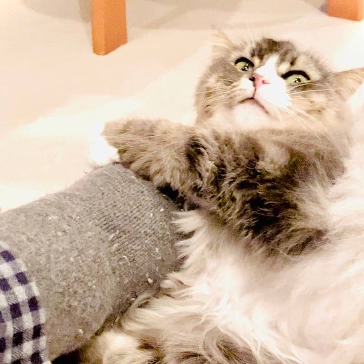 F7a50035 58b2 477c 912e 049b41a0b6b1 1582512351739