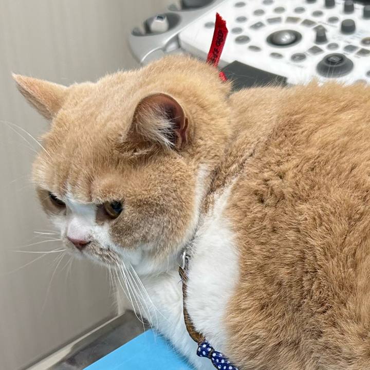 F7a527bc d32a 4d59 8ebb 31089fc99200 1681869734544