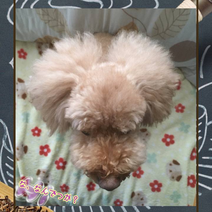 F7a52ca0 c139 4e45 9563 74817dc11151 1537750638114