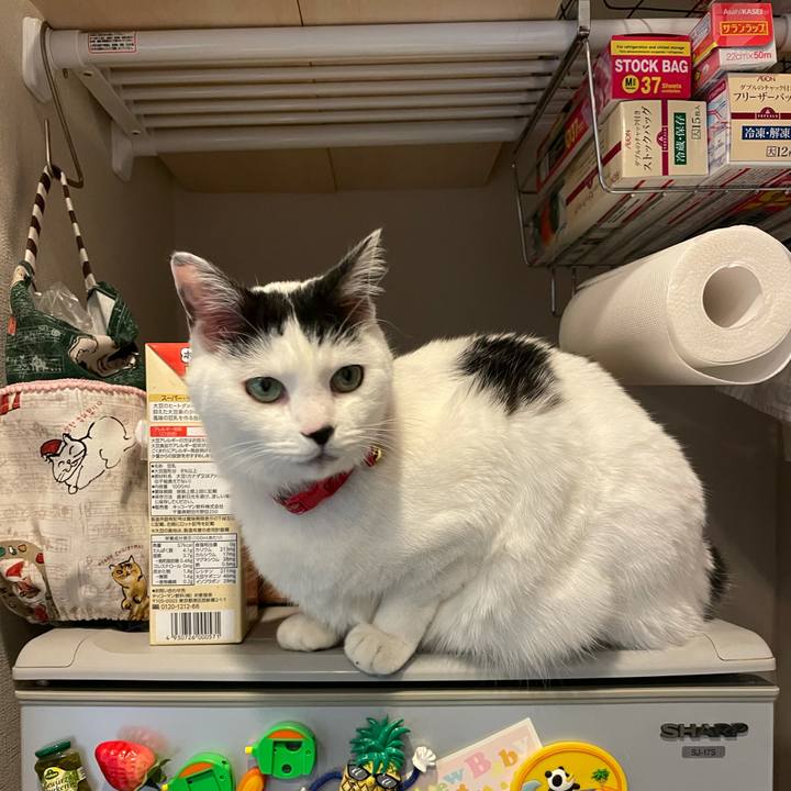 F7a534b9 4cd1 477f bf42 b307c65a2084 1611491883569