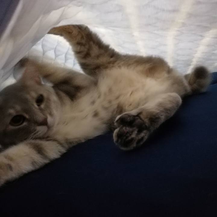 F7a53f80 1ff5 469d a1c5 0578b88c80a2 1529106414666