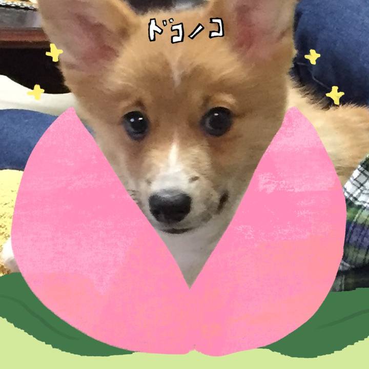 F7a56722 16e2 4ddd 9ffa 262f22b131f4 1771982108494