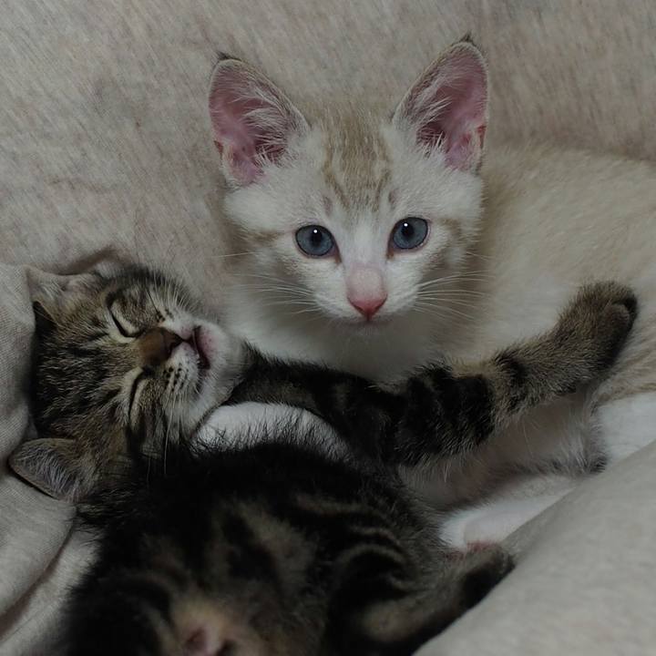 F7a5973a 44cd 4c80 88b4 6310e551f962 1619098003856