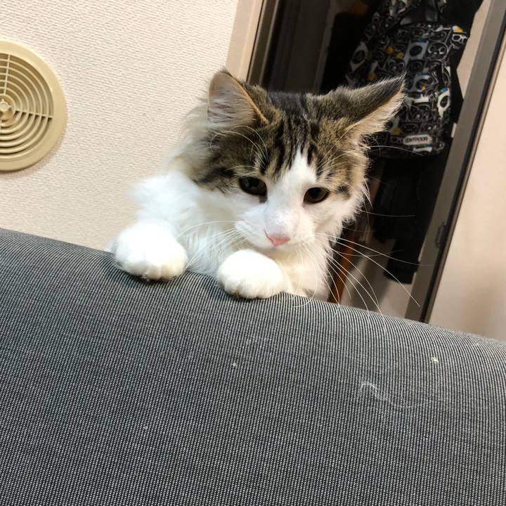 F7a5e790 855e 4c96 982e 91ec9637170c 1519126657736