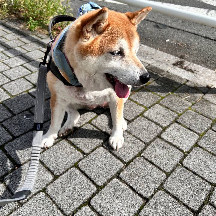 F7a5f1cd 0853 4854 9a95 c46ca9722ac3 1729312025836