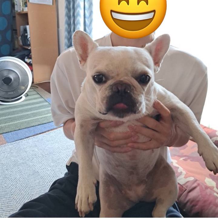 F7a60d27 7448 46ad 8072 1bfb95f99dd9 1724797896247