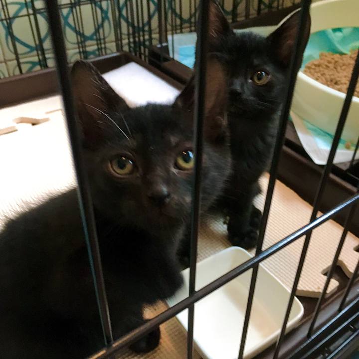 F7a61c17 7302 4fe3 9f34 e4a134fa79ba 1625178764371