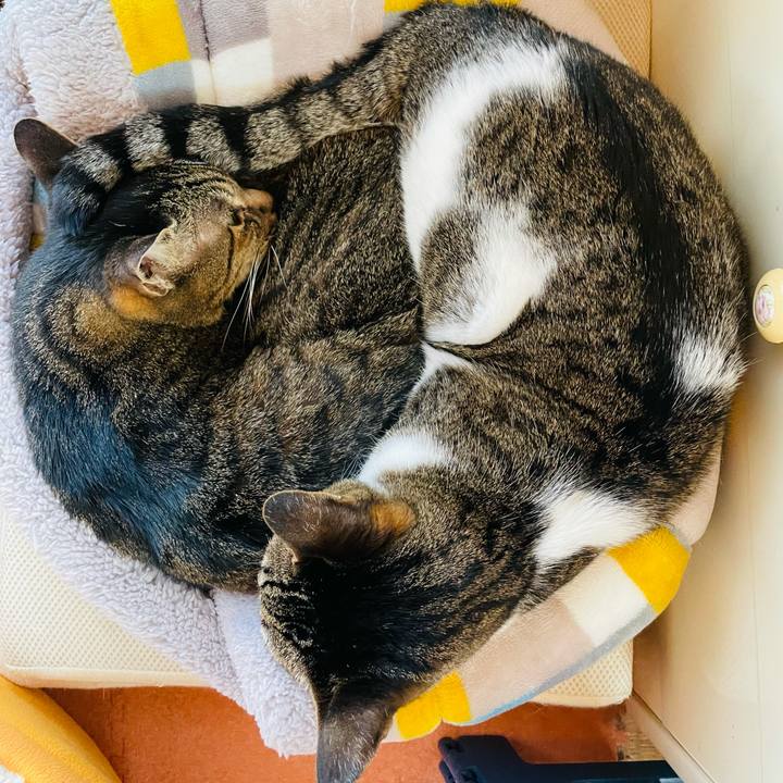 F7a627ea f09f 4a17 9a6e 69da13a91fee 1614648064200