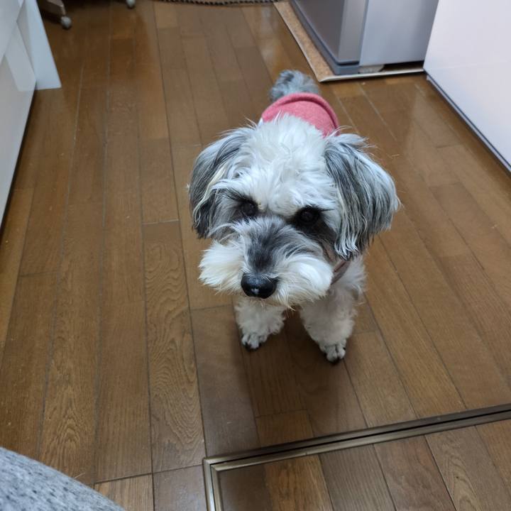 F7a62ca4 ae8c 42e7 828c 563f71233374 1765456778470