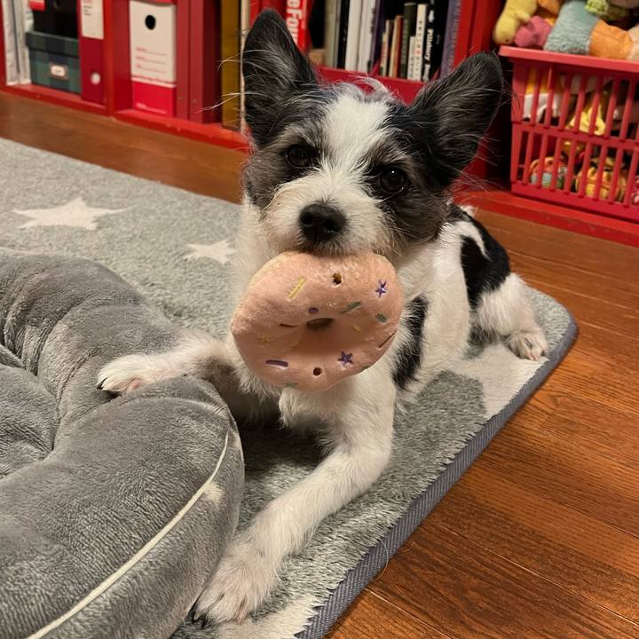 F7a67f5f 30da 4aba ab11 6395caf70b7d 1706532329398