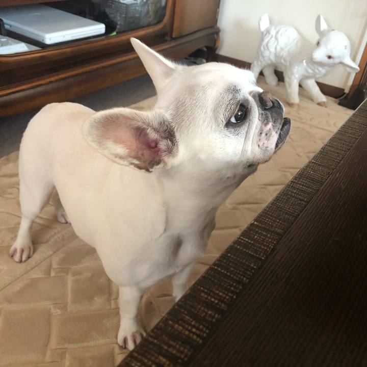 F7a68c07 0f2e 4040 8a40 dfe3ae263e67 1555884314070