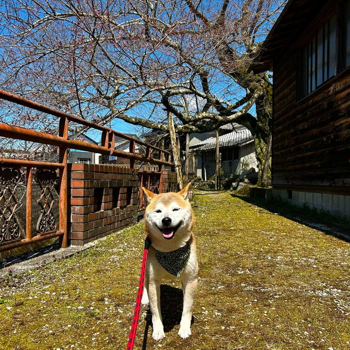 F7a68e2b 8e13 4b0b a832 ccdb3001e81a 1711527310504