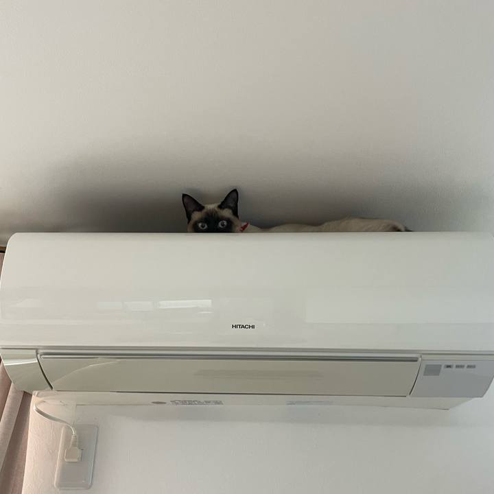 F7a68fdd 5ba7 44b9 a41e 07635e34ceea 1708210421276