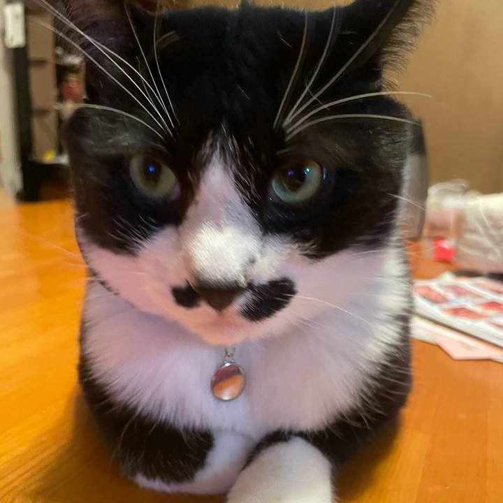 F7a69a41 4c4e 4d9e b30f 64fb40ec5bb4 1737102273645