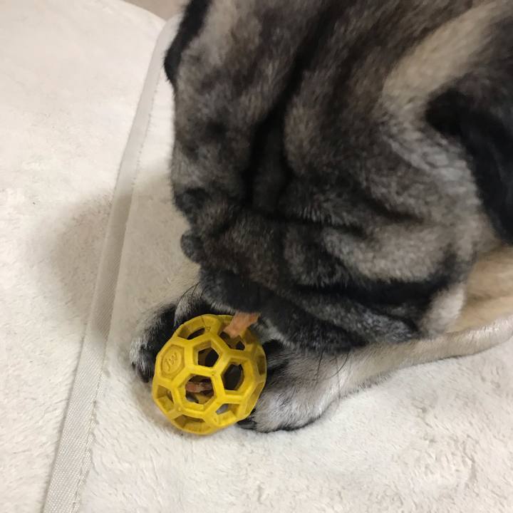 F7a69bc1 1257 4465 a26a f14431c11854 1589804730051