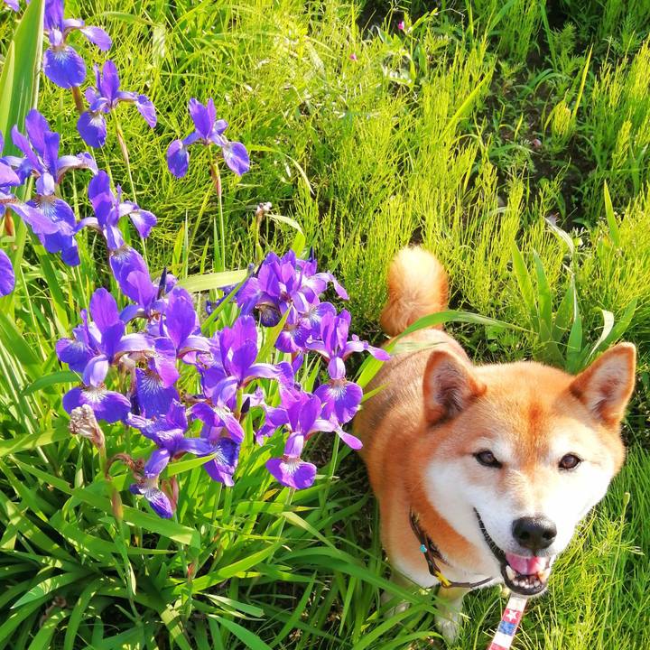 F7a6a77d 2e24 4d46 aafd fb8311b529ae 1652861200084