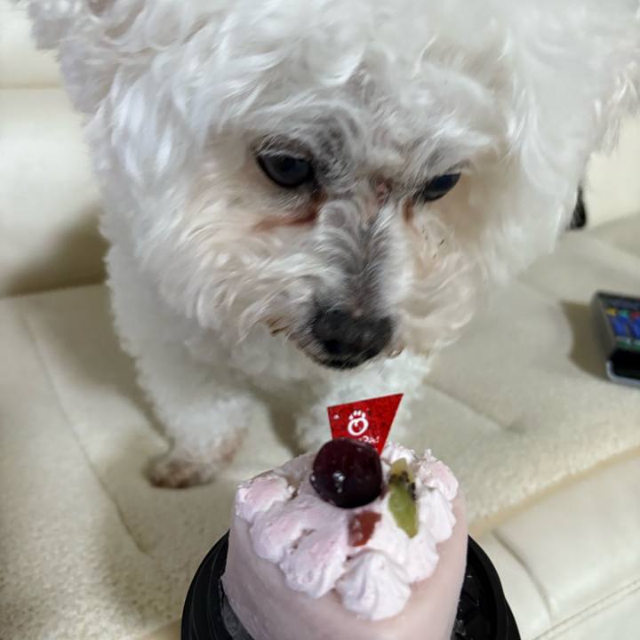 F7a6cab1 c16b 4930 a30b 2cb2f9be3a21 1751904530644