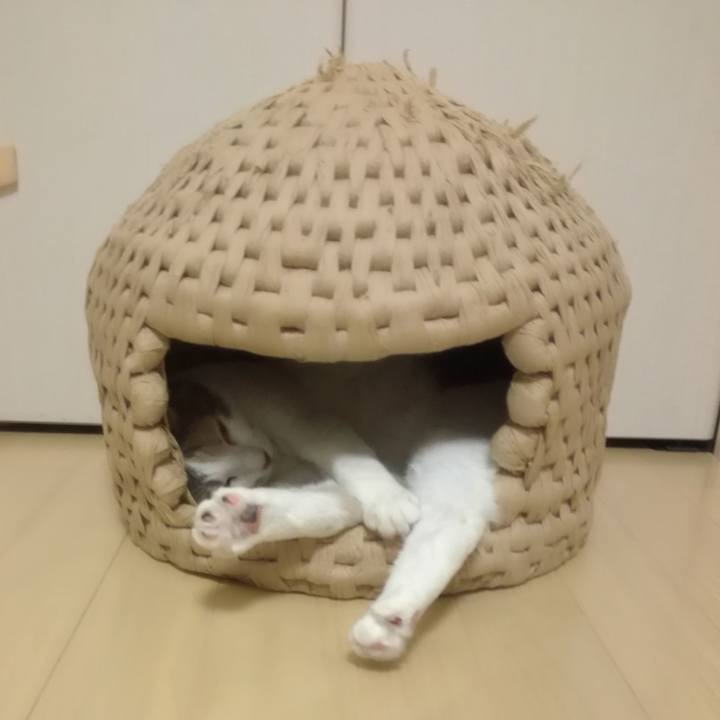 F7a6e14b a246 4d84 8bb4 7916f46f094a 1538092183796