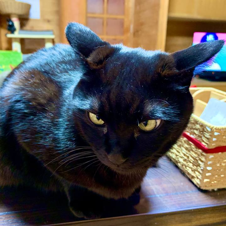 F7a71652 8d41 46fa 84fd e443ad8bf18e 1637669145717