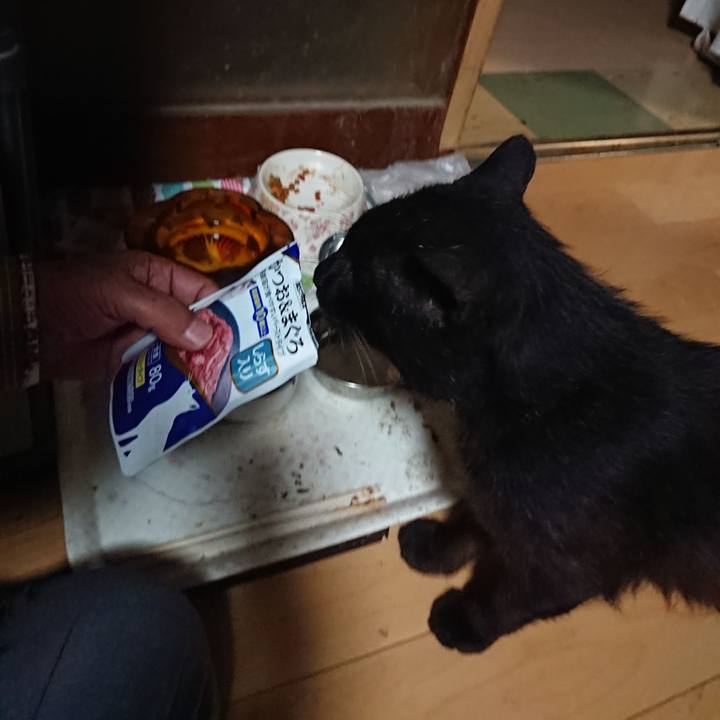 F7a73d2f 7646 45e6 8fc8 bf73d89e3b37 1624792826080