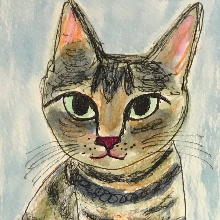 F7a74a58 ebe8 4b9f a2f2 041f76cc7ec4 1551978076067