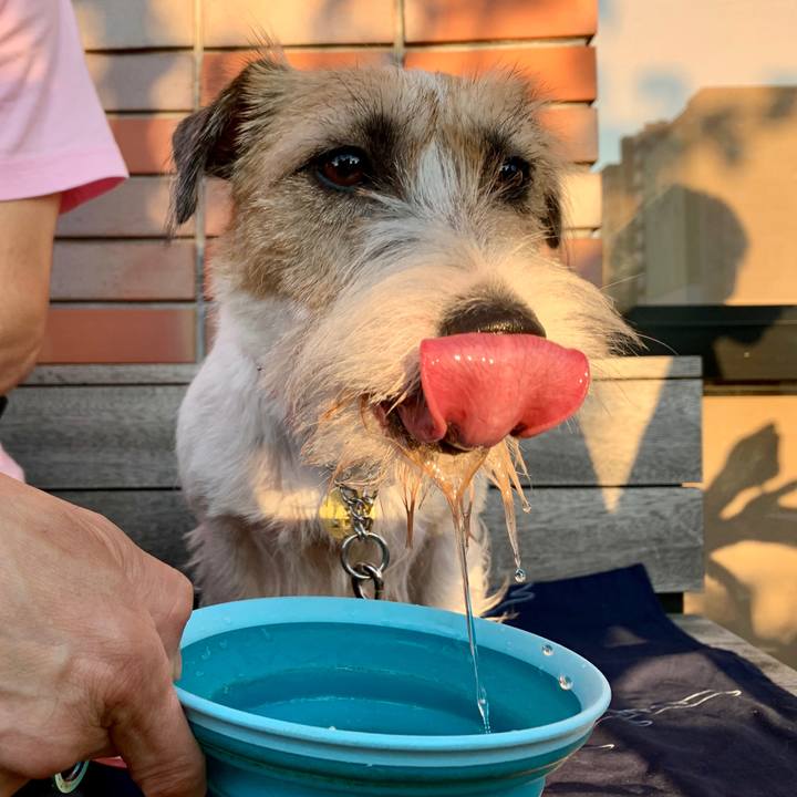 F7a79eda 9f12 452a 91d7 b5d11d3ab893 1600688861772