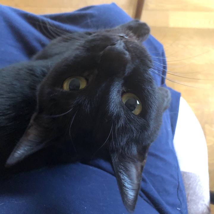 F7a7a9c7 1072 4740 bd00 2d4a6a3afa8c 1667600715659