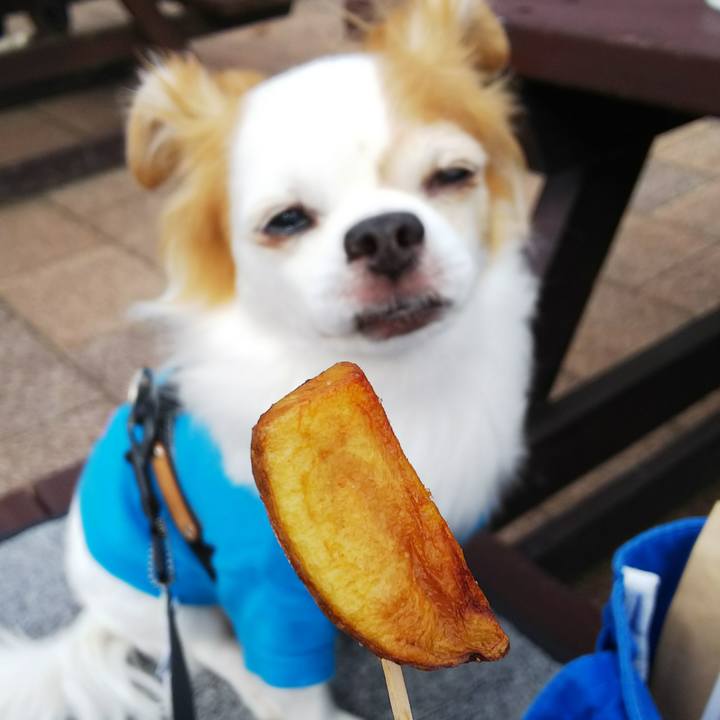 F7a805f8 1020 4c49 9961 2daa80e6792f 1537076960083