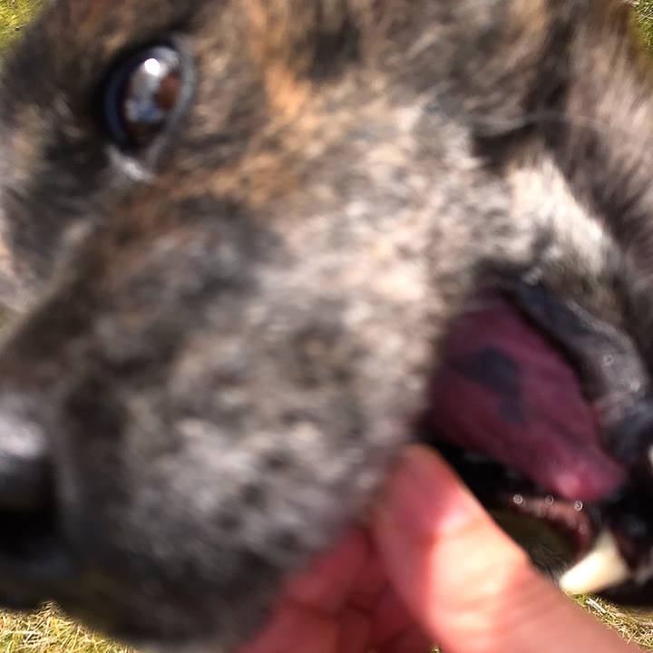 F7a82810 9ca4 48c5 85ea 89259e33dcf0 1554091485991